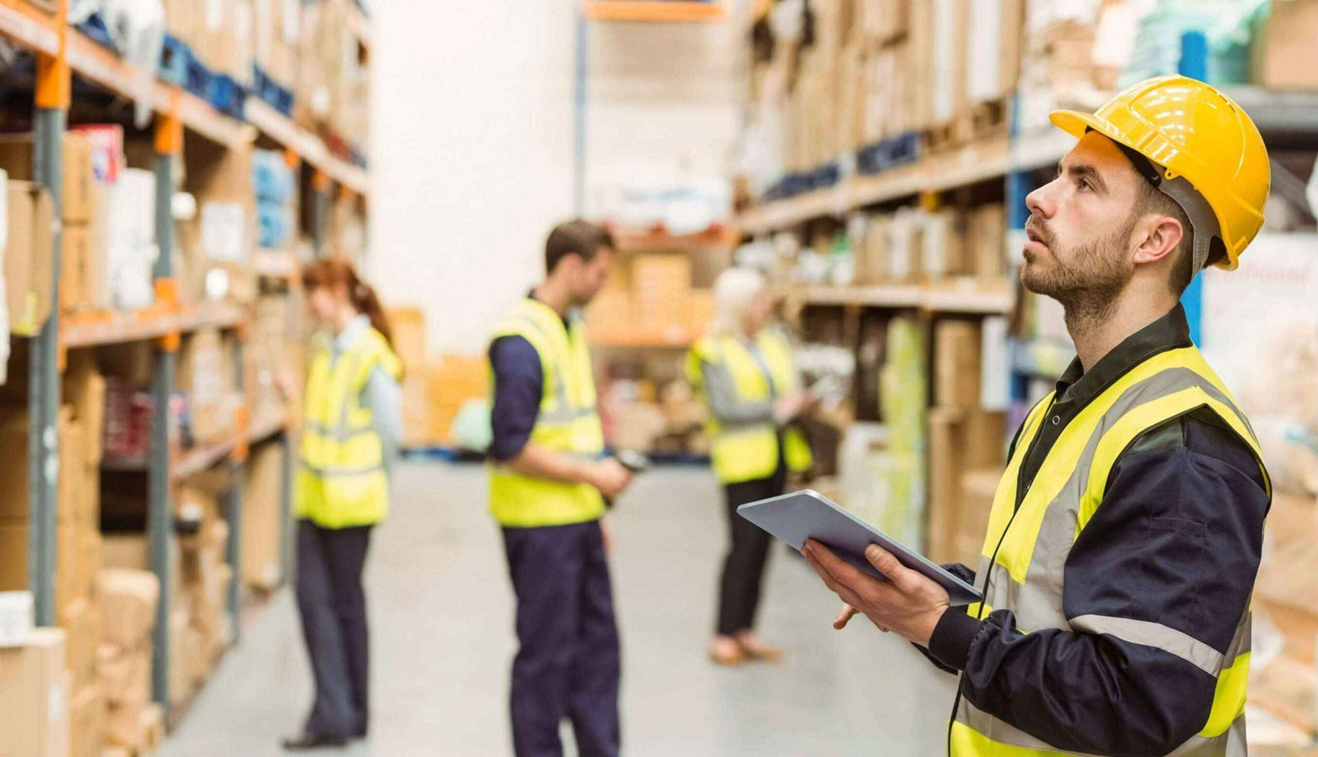 Logistics & Transport