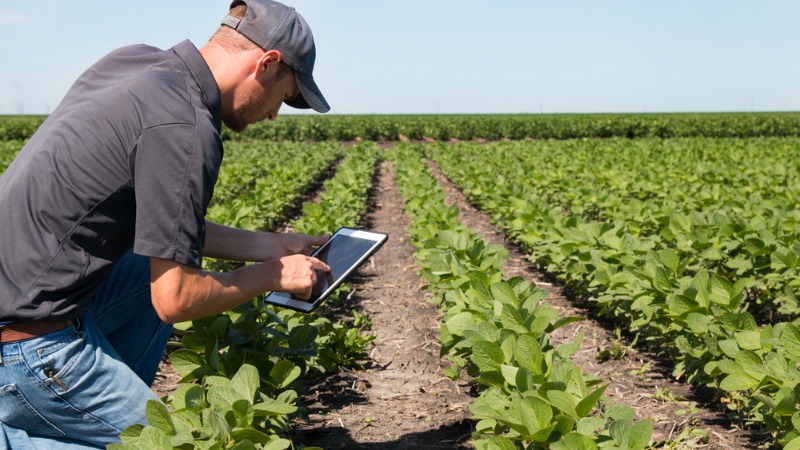 Environment & Agriculture